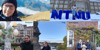 Collage mit Bildern von Studierenden an verschiedenen Orten in den Partnerländern