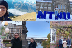 Collage mit Bildern von Studierenden an verschiedenen Orten in den Partnerländern