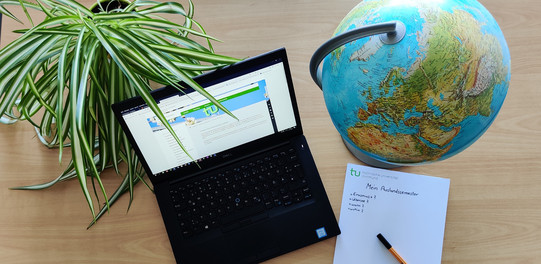 Schreibtisch mit Pflanze, Globus und Kalender