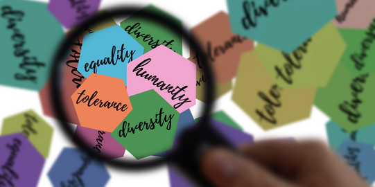 Luppe zeigt auf Papierschnitzel mit den Worten "Diversity", "Tolerance", "Equality" und "Humanity"