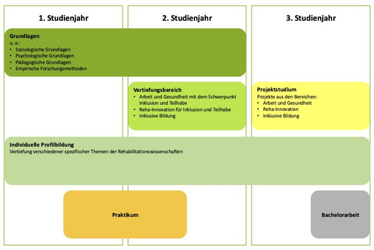 Übersicht Studieninhalte BA Reha PO 2024 Bildliche Darstellung der Studieninhalte des Bachelor Rehabilitationspädagogik eingeteilt in die drei Studienjahre.