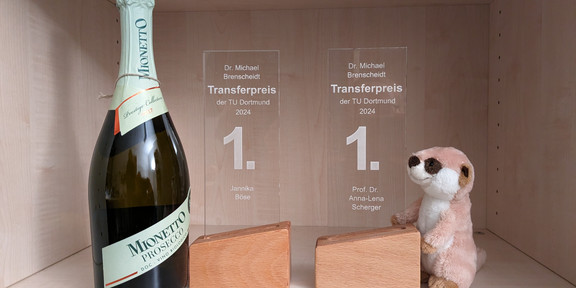 In einem Holzregal stehen von Links nach Rechts eine Flasche Sekt, zwei Auszeichnungen und ein Plüsch-Erdmännchen. Die Auszeichnungen bestehen aus einem Holzfuß und Glas, auf dem die Namen der ausgezeichneten Personen stehen.