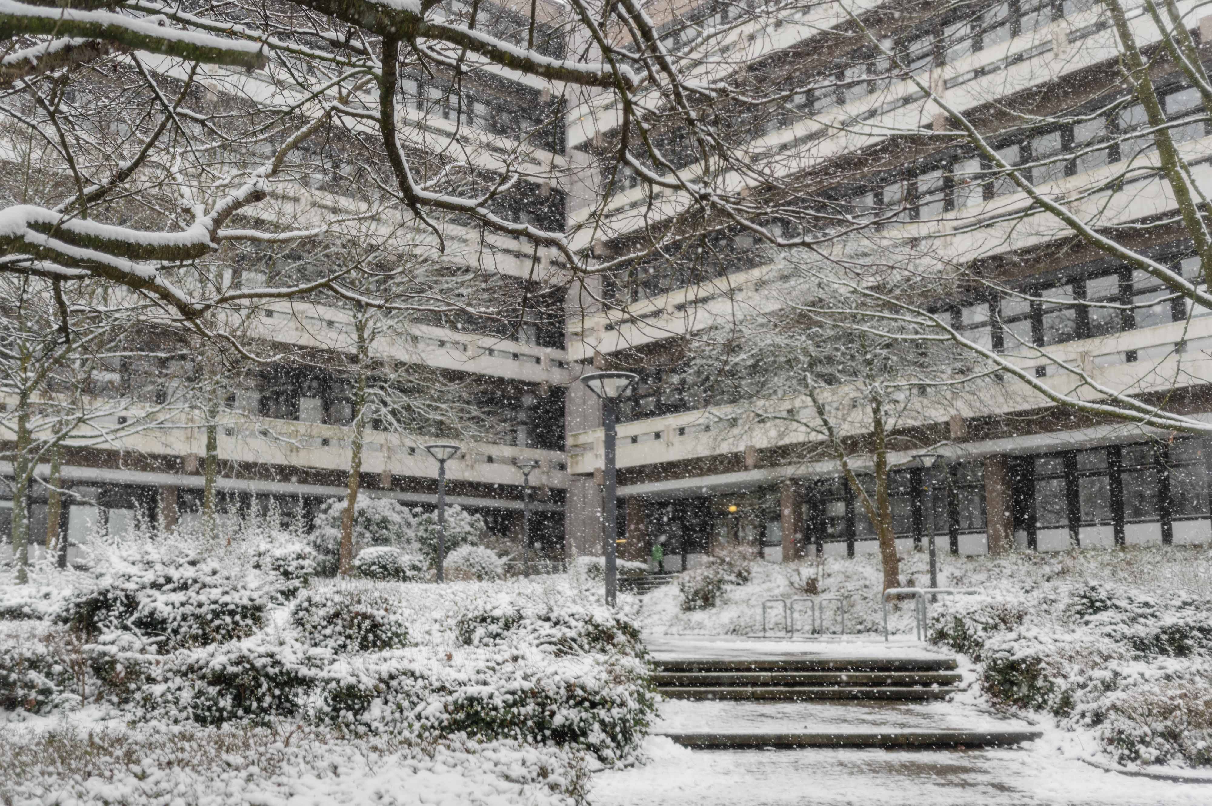 Verschneite Treppen führen zum Eingang des Gebäudes EF 50 der TU Dortmund.