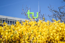 TU im Frühling_04 Das TU-Logo umgeben mit gelben Blüten von Blumen.