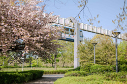 TU im Frühling_10 H-Bahn Linie umgeben von blühenden Bäumen.