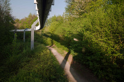 TU im Frühling_06 Ein Stück der H-Bahn umgeben von grünen Bäumen.