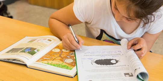 learning student A student sits in the class and works in the notebook